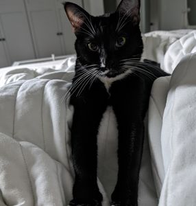 Meet your Posher, Kacee